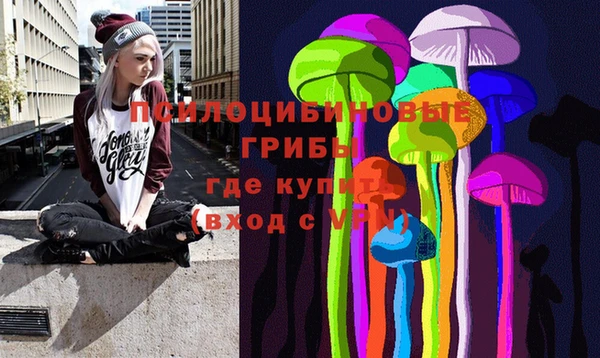 ешки Россошь