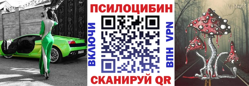 Купить закладки  Старица  Псилоцибиновые грибы Psilocybe 