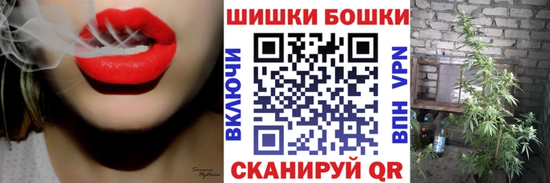 Купить где  Старица  Бошки марихуана THC 21% 